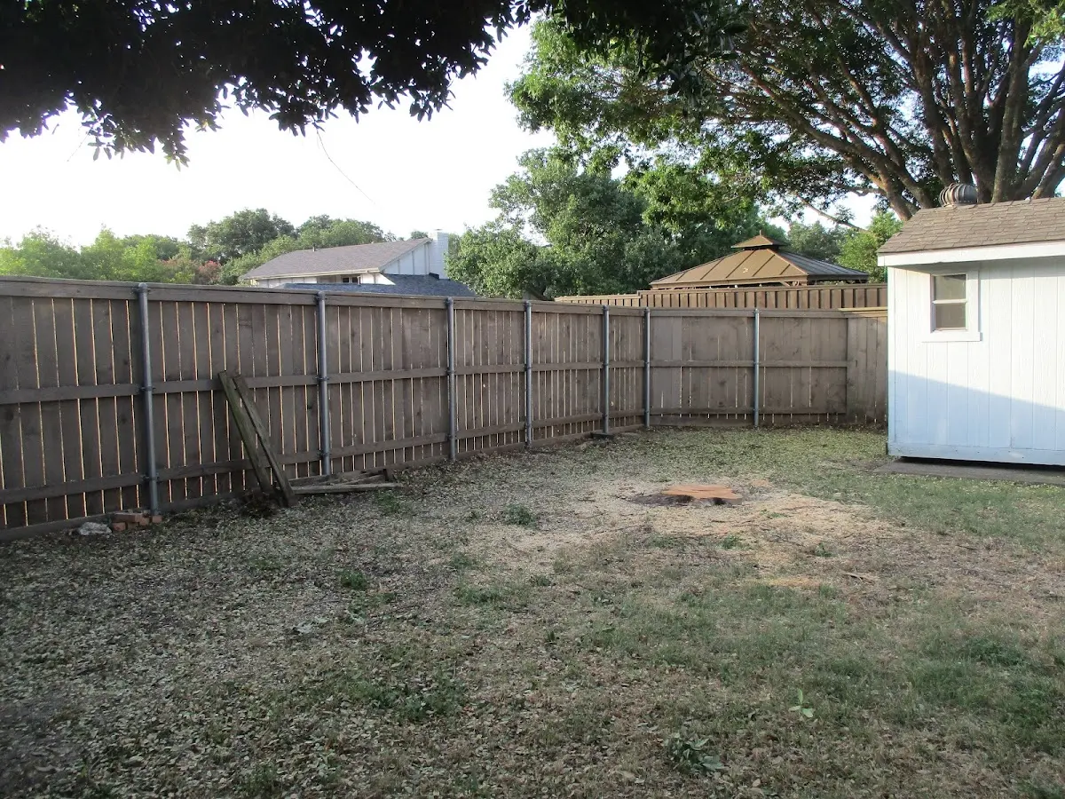 Cleared yard after professional tree removal in Neelyton